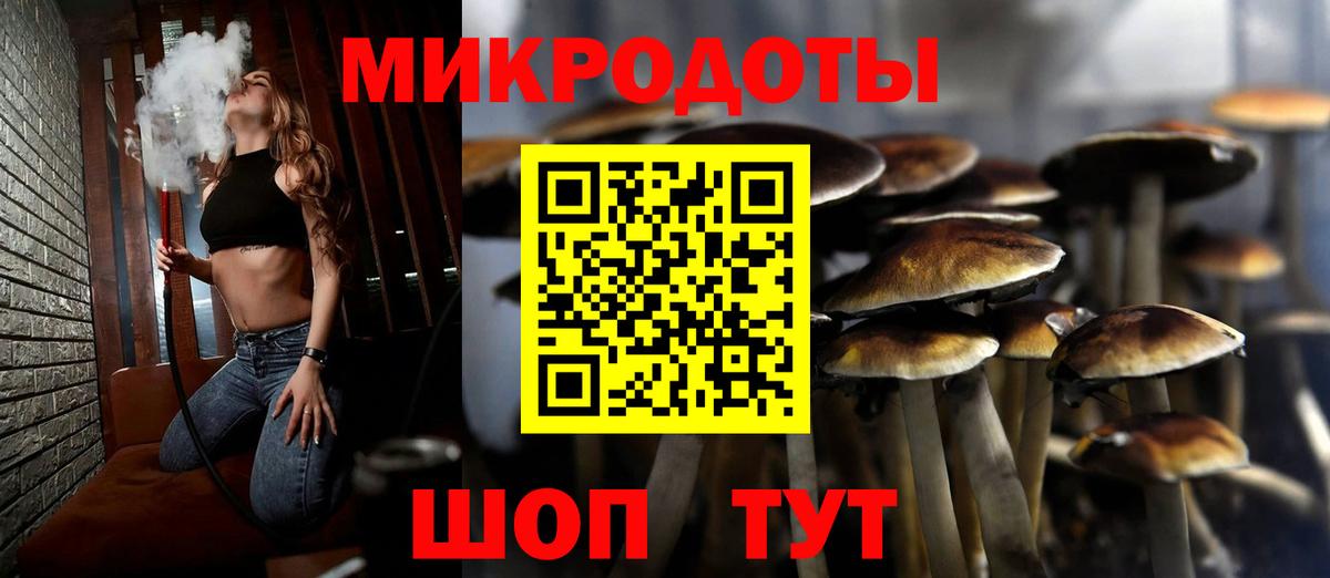 Соль-Илецк  Галлюциногенные грибы GOLDEN TEACHER  Галлюциногенные грибы GOLDEN TEACHER  Вход с VPN 